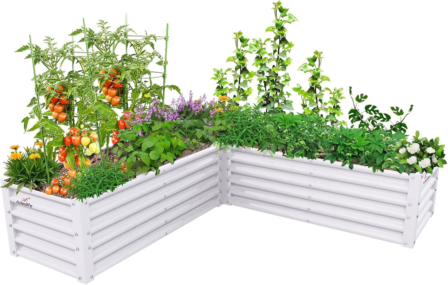 A Anleolife - Metal Rectangular L-Shaped Raised Garden Bed Planter Box for Planting Vegetables (74 in. L x 74 in. W x 18 in. H) - White
