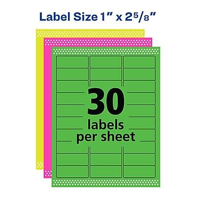 Label Size 1" x 2 5/8"  
30 labels per sheet