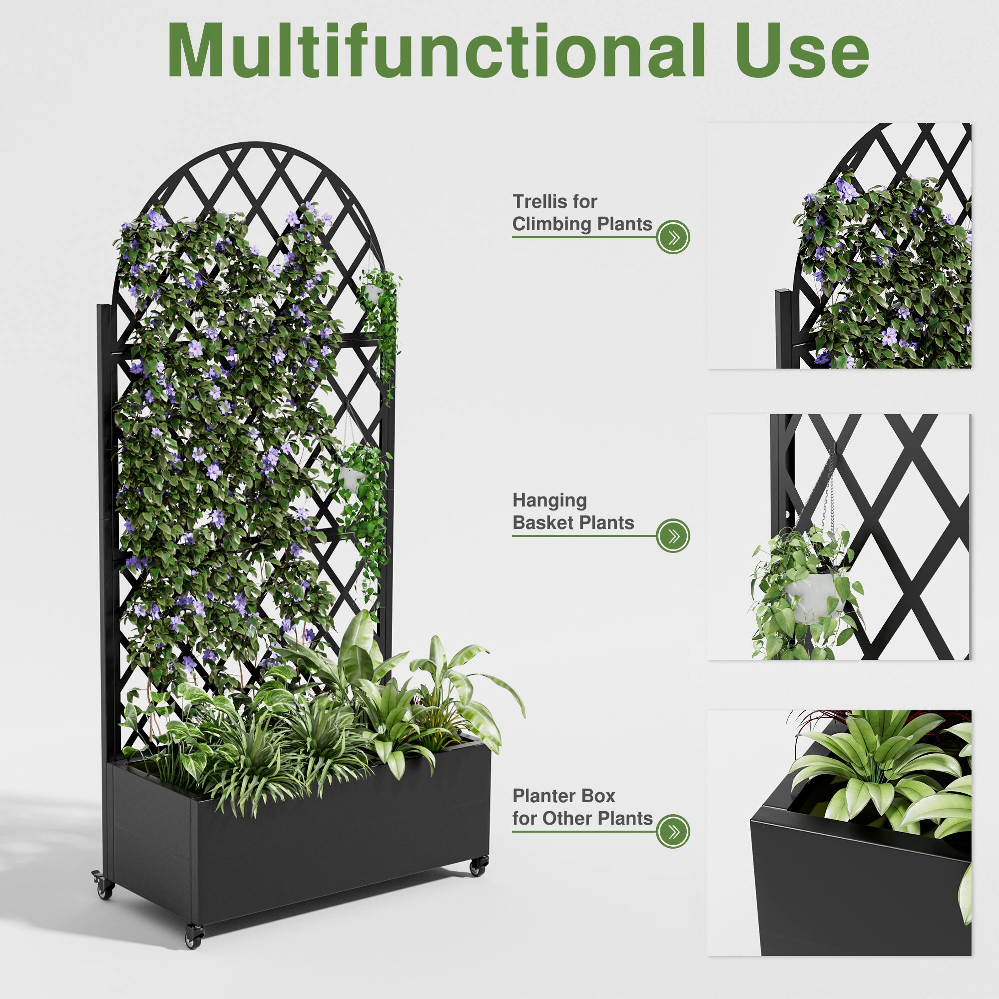 Multifunctional Use

- Trellis for Climbing Plants
- Hanging Basket Plants
- Planter Box for Other Plants