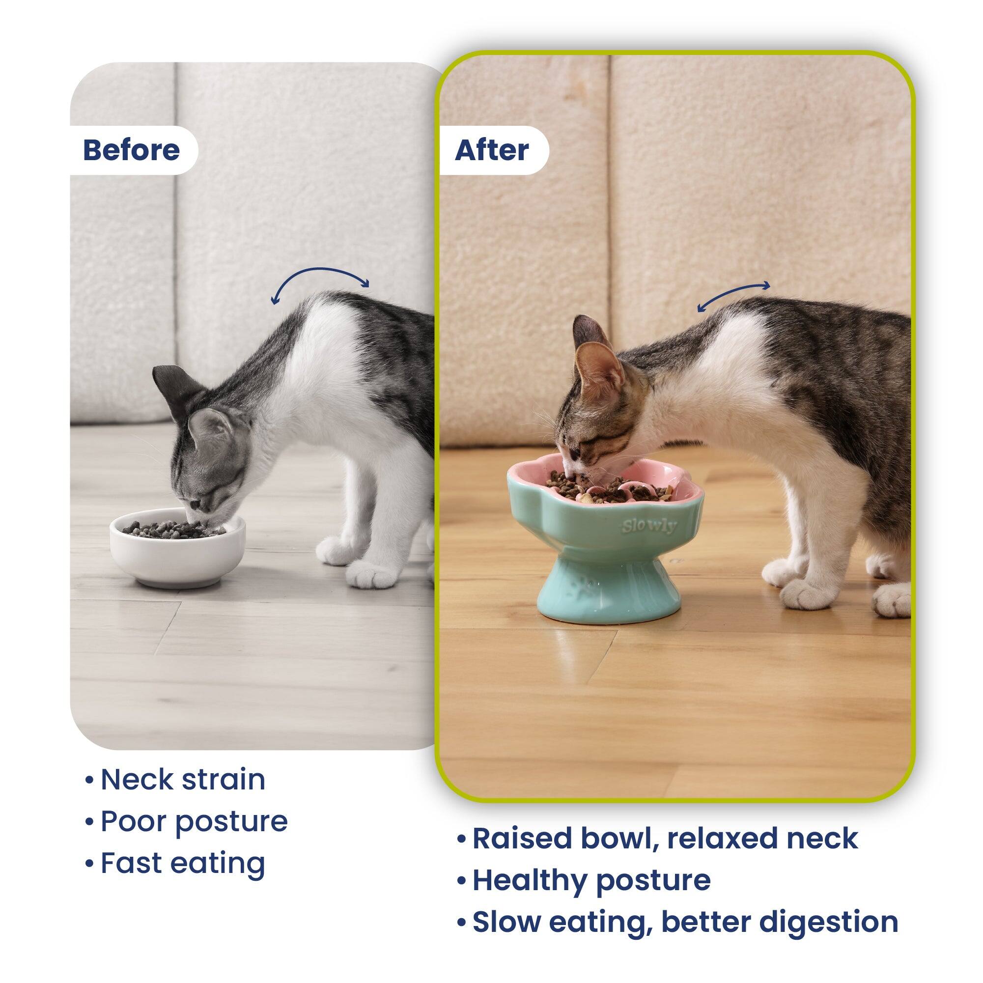 Before
After
Slowly
Neck strain Poor posture Fast eating
Raised bowl, relaxed neck Healthy posture Slow eating, better digestion