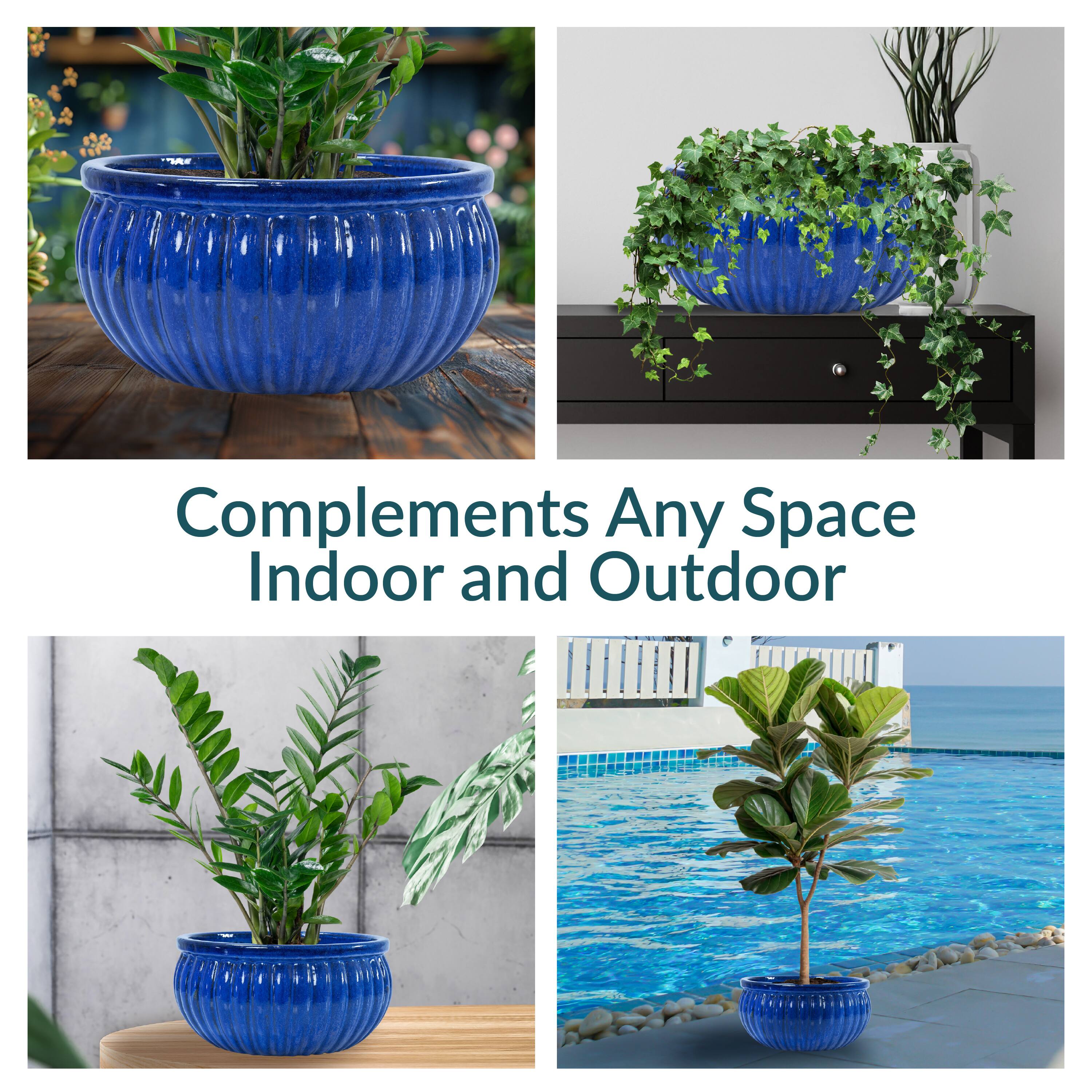 Complements Any Space  
Indoor and Outdoor