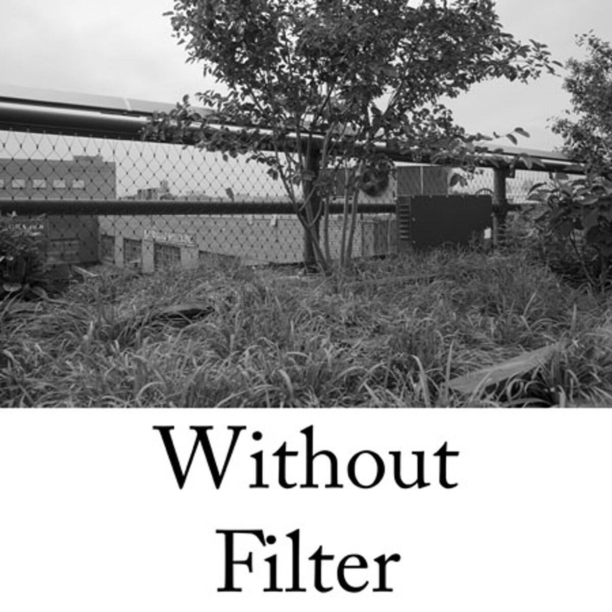 Without Filter