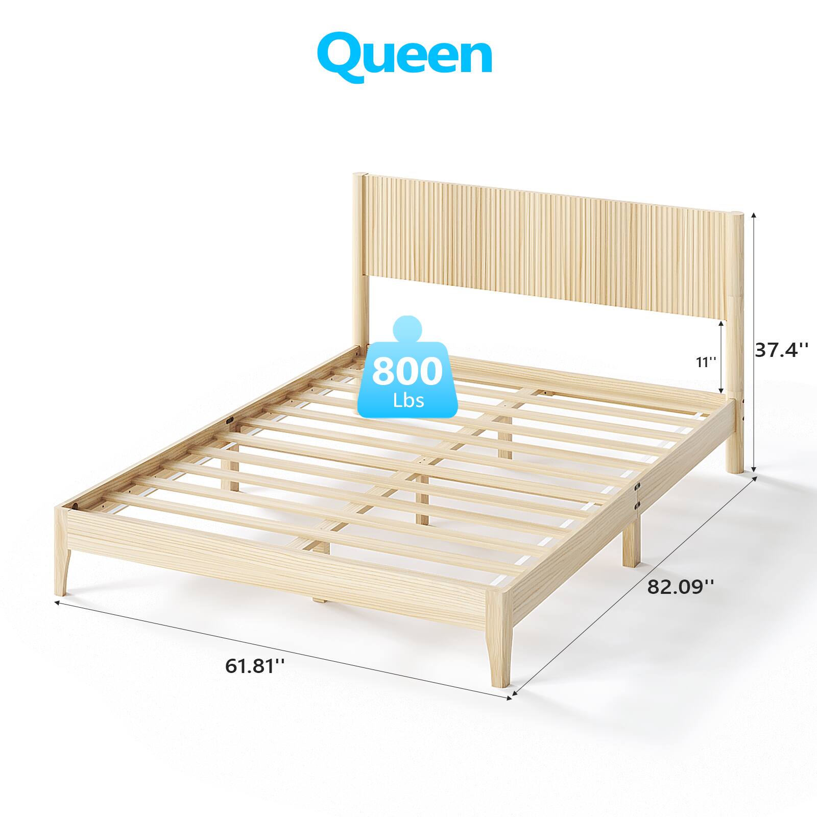 Queen 800 Lbs 11" 37.4" 82.09" 61.81"