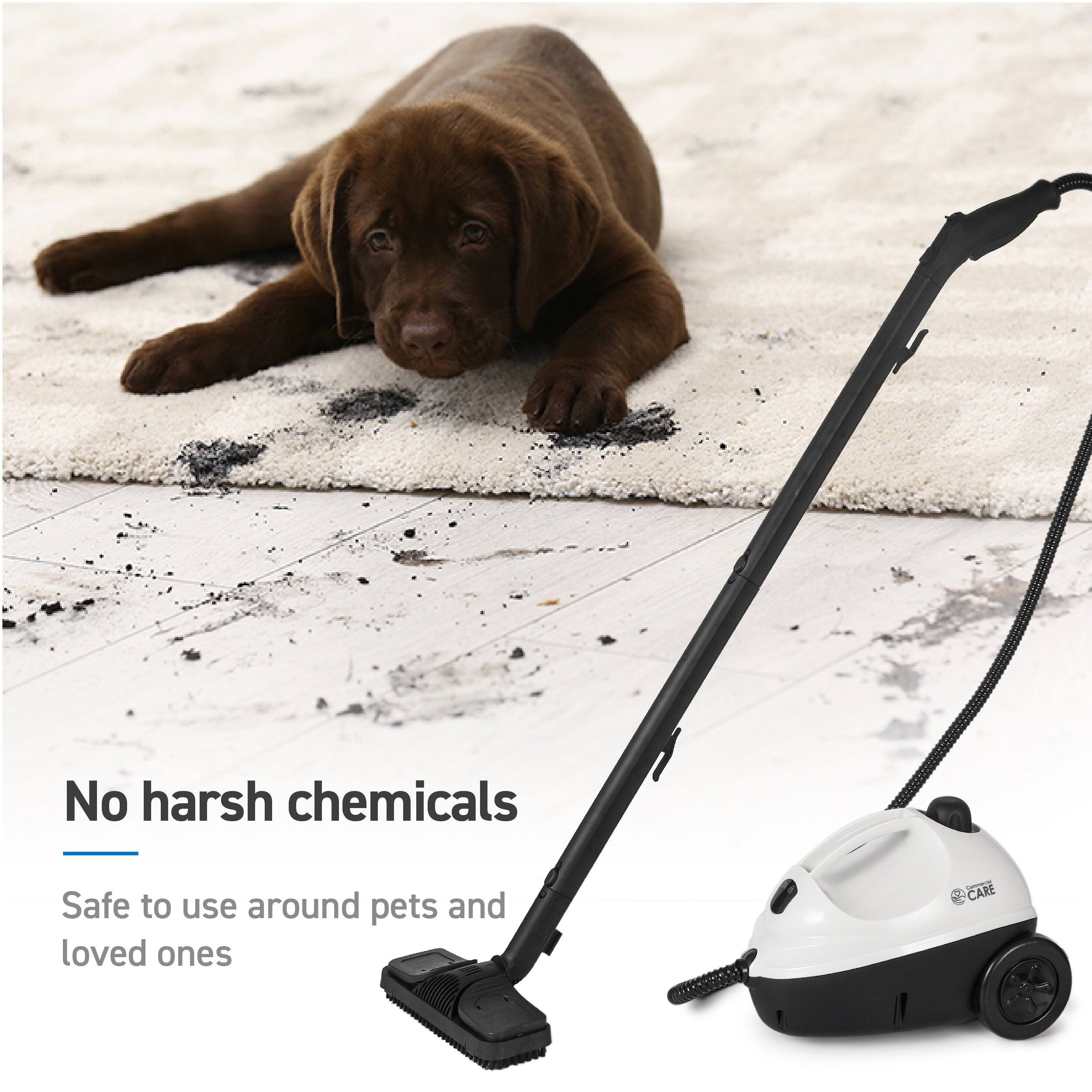 No harsh chemicals
Safe to use around pets and loved ones
CARE