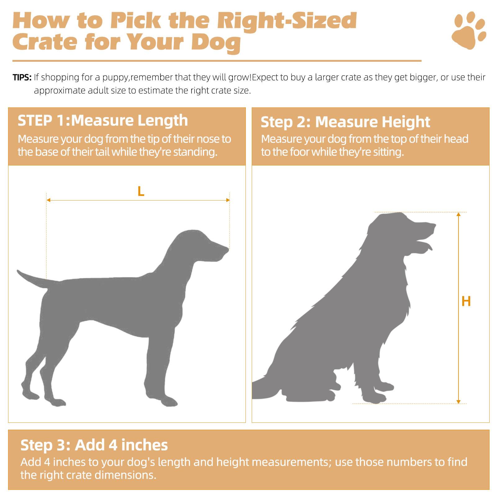 How to Pick the Right-Sized Crate for Your Dog

TIPS: If shopping for a puppy, remember that they will grow! Expect to buy a larger crate as they get bigger, or use their approximate adult size to estimate the right crate size.

STEP 1: Measure Length
Measure your dog from the tip of their nose to the base of their tail while they're standing.

Step 2: Measure Height
Measure your dog from the top of their head to the floor while they're sitting.

Step 3: Add 4 inches
Add 4 inches to your dog's length and height measurements; use those numbers to find the right crate dimensions.