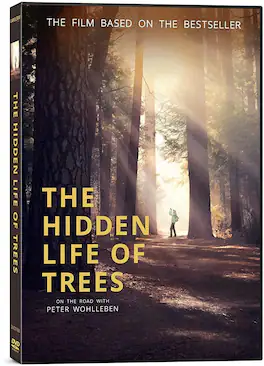 The Hidden Life of Trees - DVD