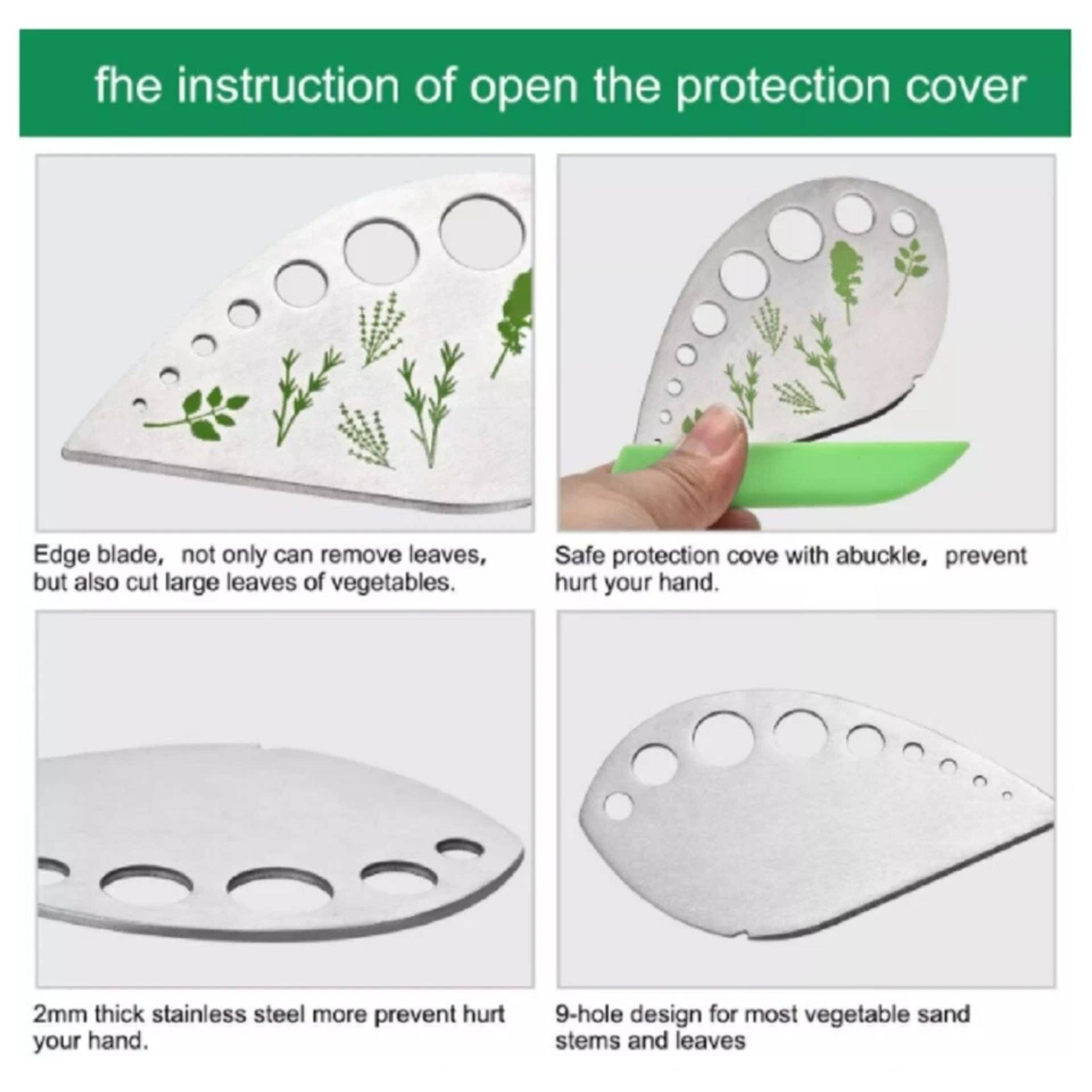 The instruction of open the protection cover

Edge blade, not only can remove leaves, but also cut large leaves of vegetables.

Safe protection cover with a buckle, prevent hurt your hand.

2mm thick stainless steel more prevent hurt your hand.

9-hole design for most vegetable sand stems and leaves