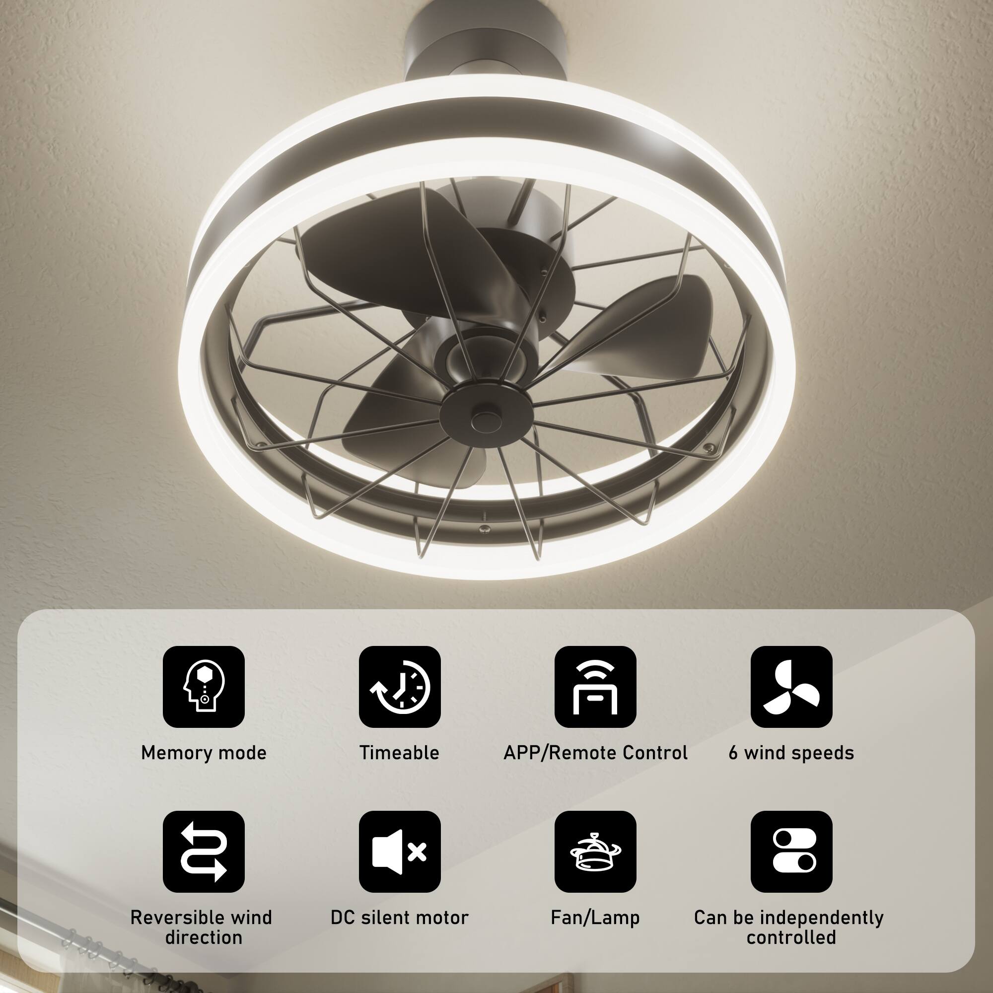 Memory mode  
Timeable  
APP/Remote Control  
6 wind speeds  
Reversible wind direction  
DC silent motor  
Fan/Lamp  
Can be independently controlled