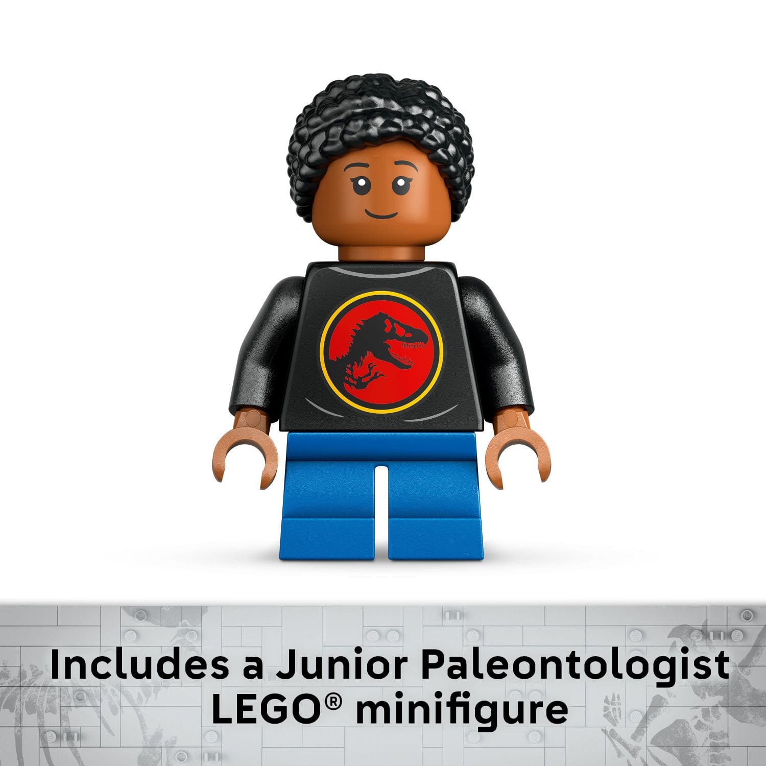 Includes a Junior Paleontologist Lego minifigure.