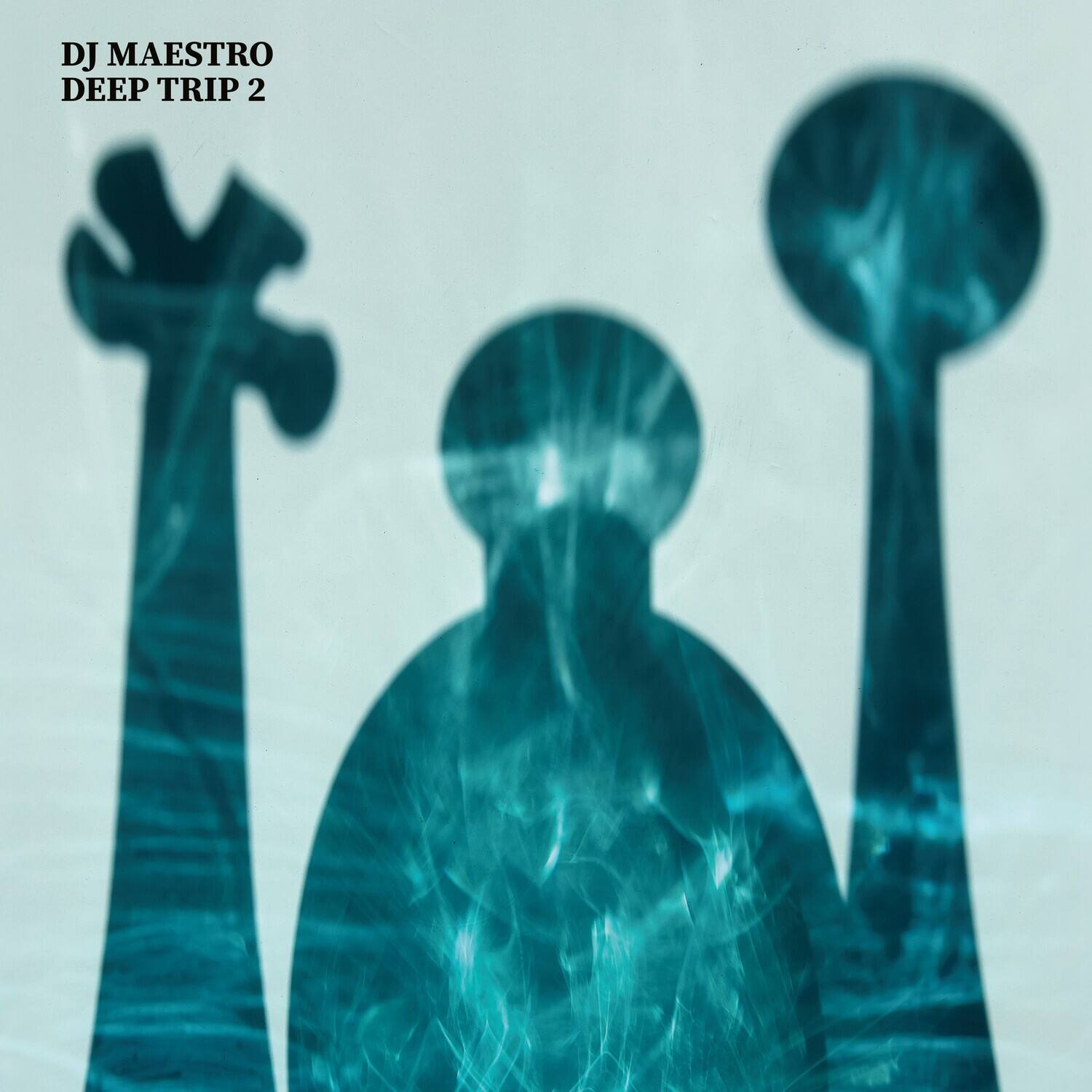 DJ MAESTRO  
DEEP TRIP 2