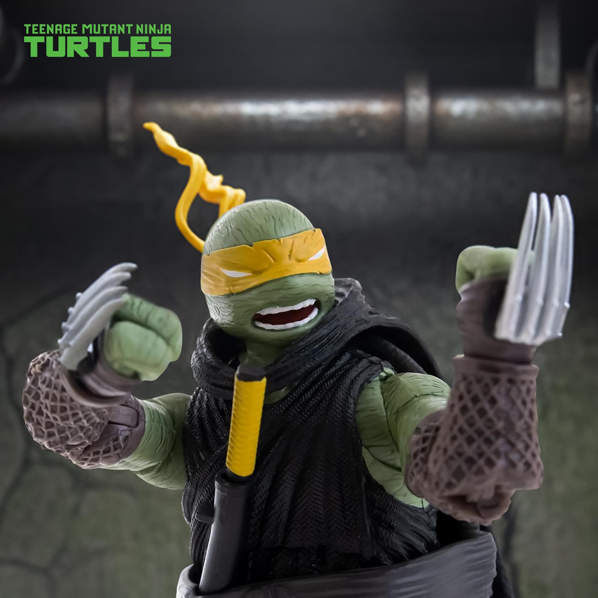 TEENAGE MUTANT NINJA TURTLES