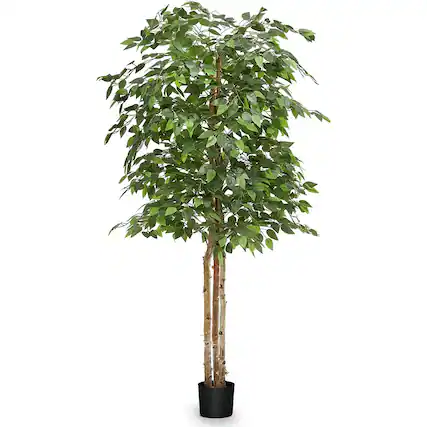 Front. Maia Shop - Maia Shop Artificial Ficus Tree 6 Feet Tall Tropical Home Decoration, 71 Inches - Green.