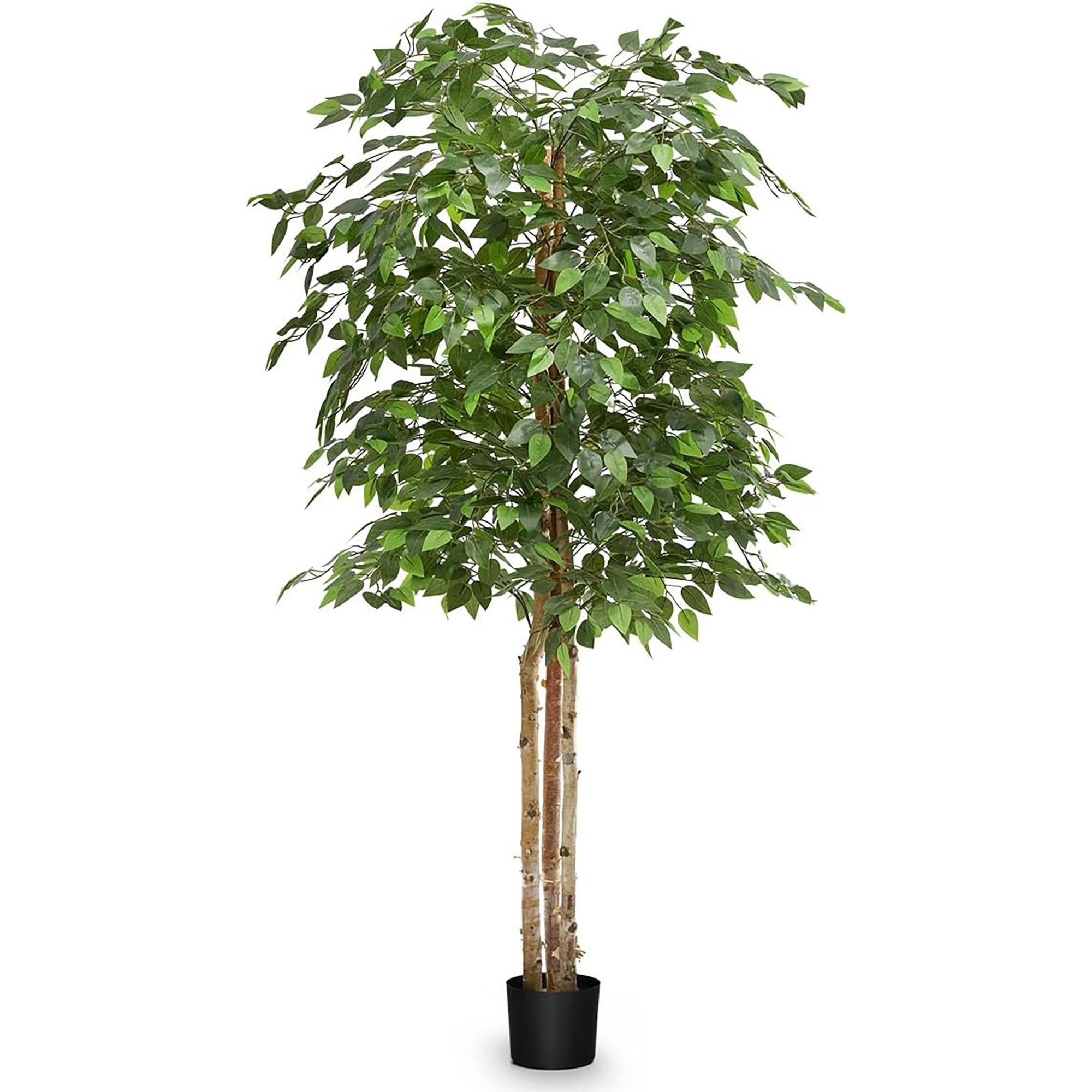 Front. Maia Shop - Maia Shop Artificial Ficus Tree 6 Feet Tall Tropical Home Decoration, 71 Inches - Green.