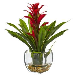 BreeBe - 12" Bromeliad with Vase Arrangement - Red