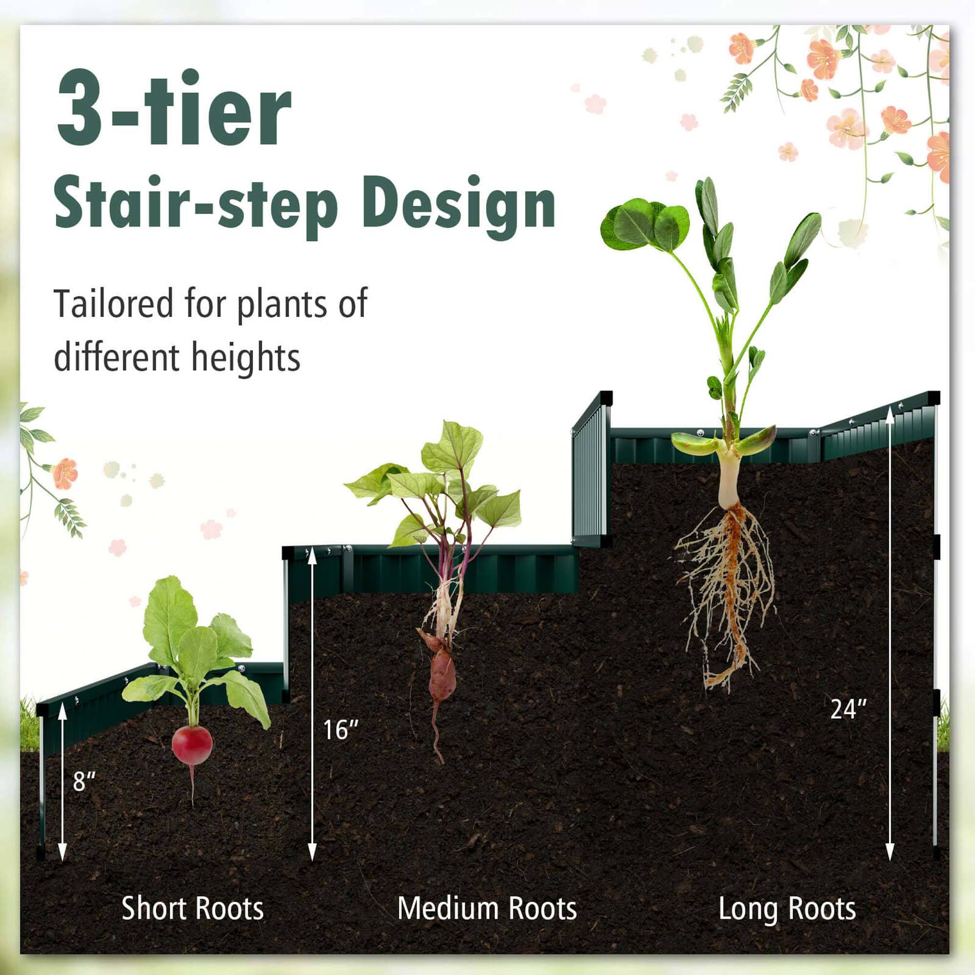 3-tier Stair-step Design Tailored for plants of different heights: 16" (Short Roots), 24" (Medium Roots), and 8" (Long Roots).