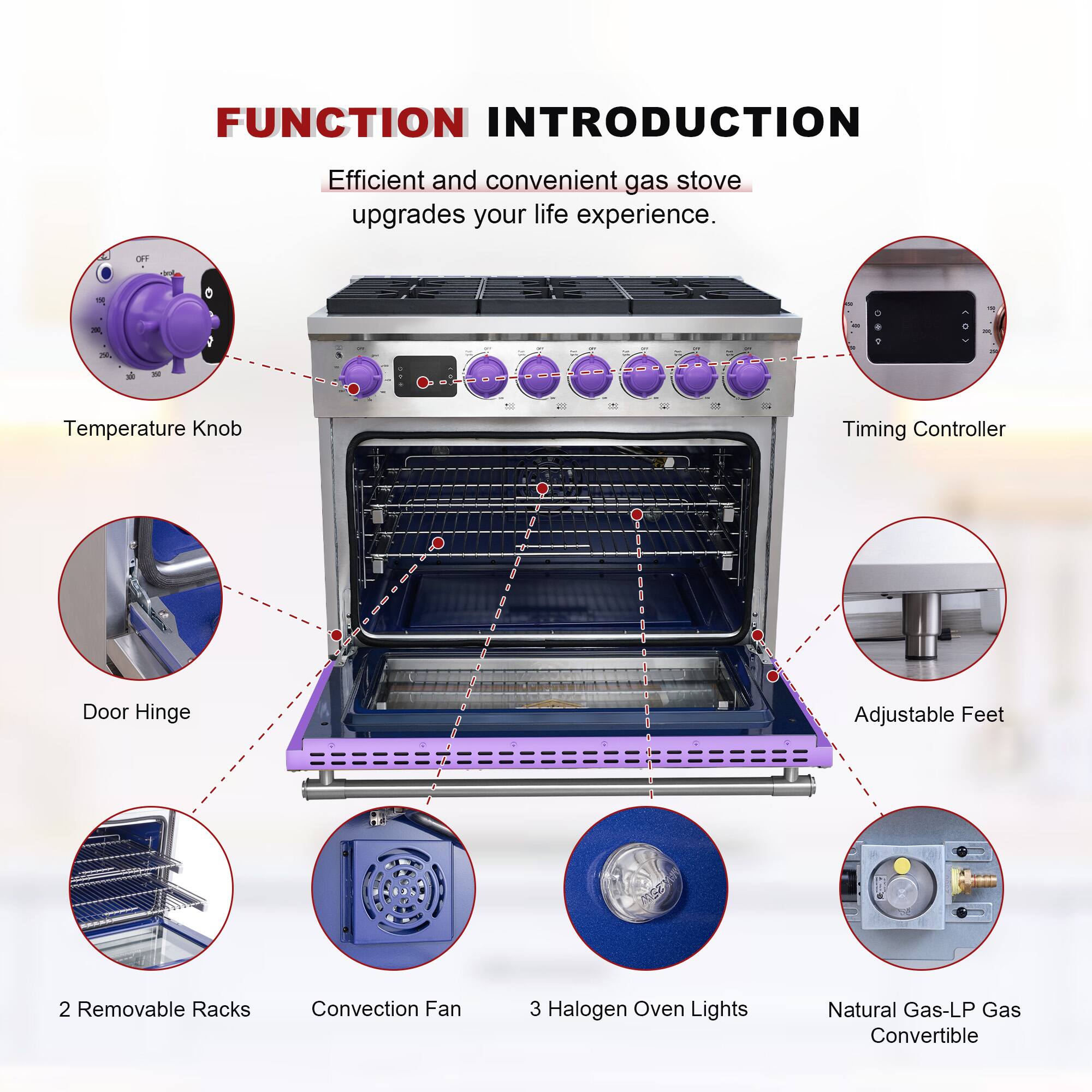 FUNCTION INTRODUCTION  
Efficient and convenient gas stove upgrades your life experience.  

- Temperature Knob  
- Timing Controller  
- Door Hinge  
- Adjustable Feet  
- 2 Removable Racks  
- Convection Fan  
- 3 Halogen Oven Lights  
- Natural Gas-LP Gas Convertible
