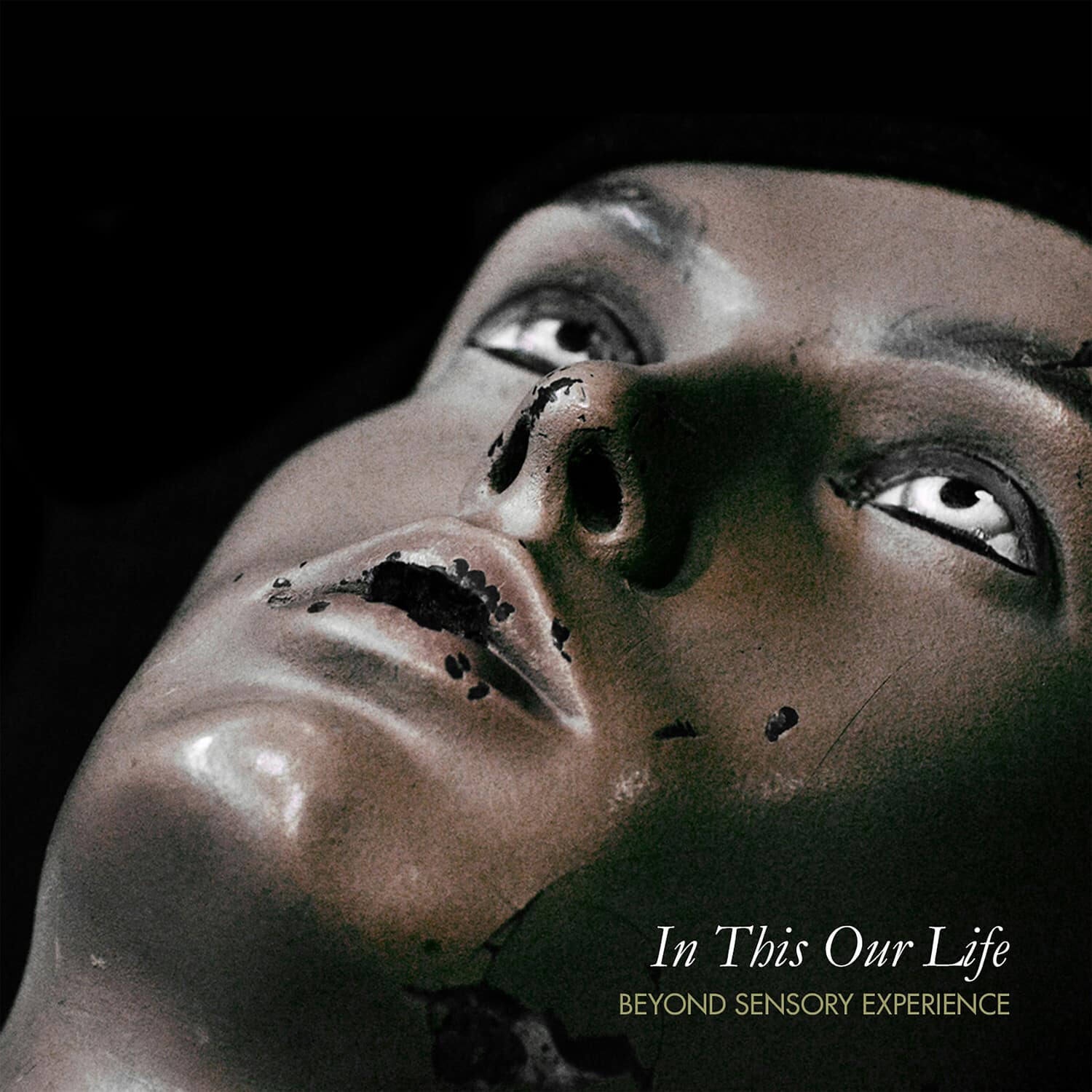 Beyond Sensory Experience - In Thus Our Life   - COMPACT DISCS [CD] price history on PriceWatchPro