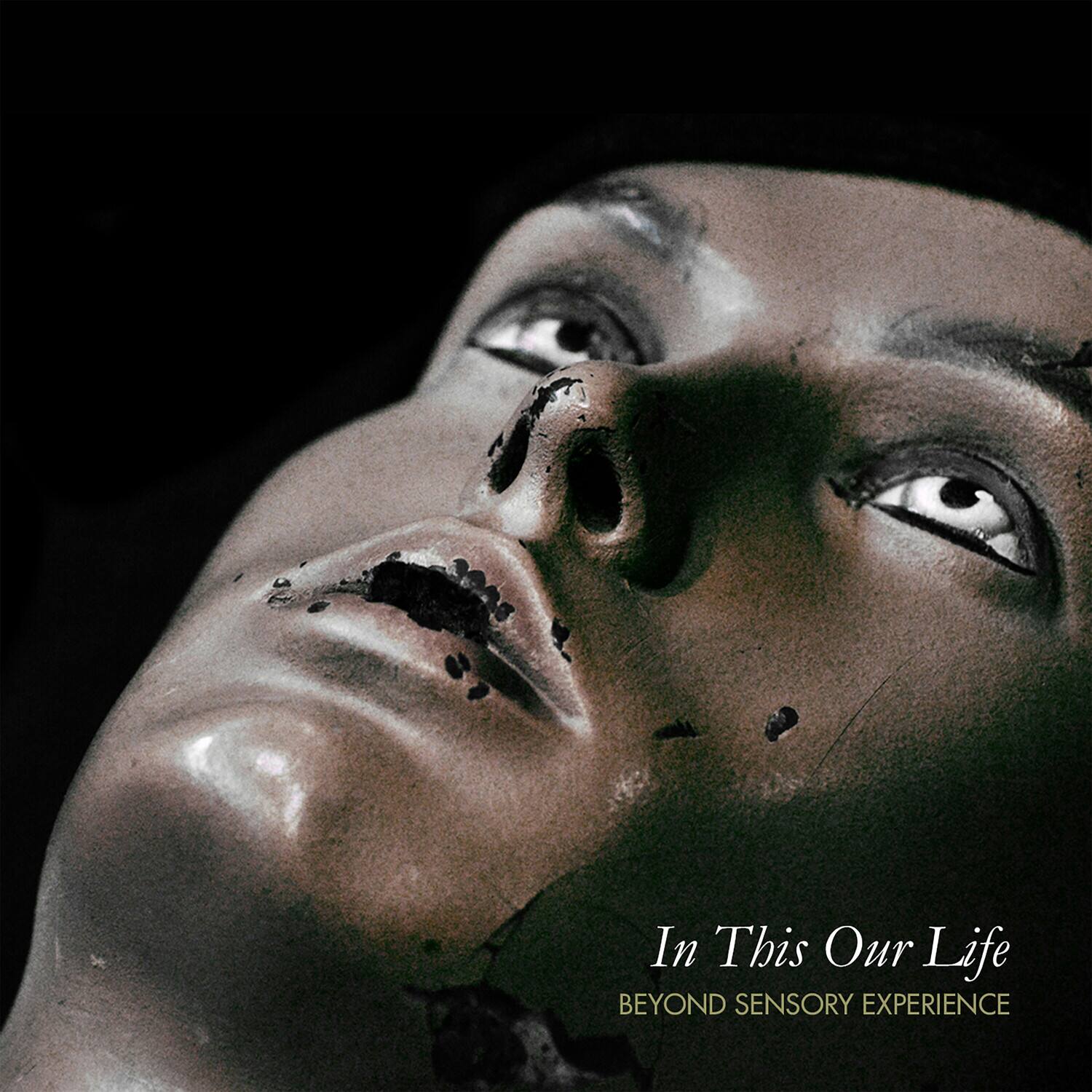 In This Our Life  
BEYOND SENSORY EXPERIENCE