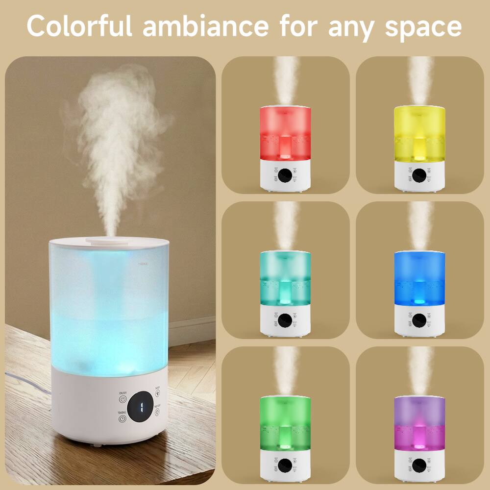 Colorful ambiance for any space