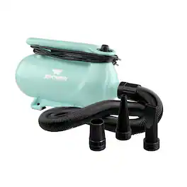 XPOWER - B-163 High Velocity Variable Speed Double Motor Pet Dryer - Mint Green