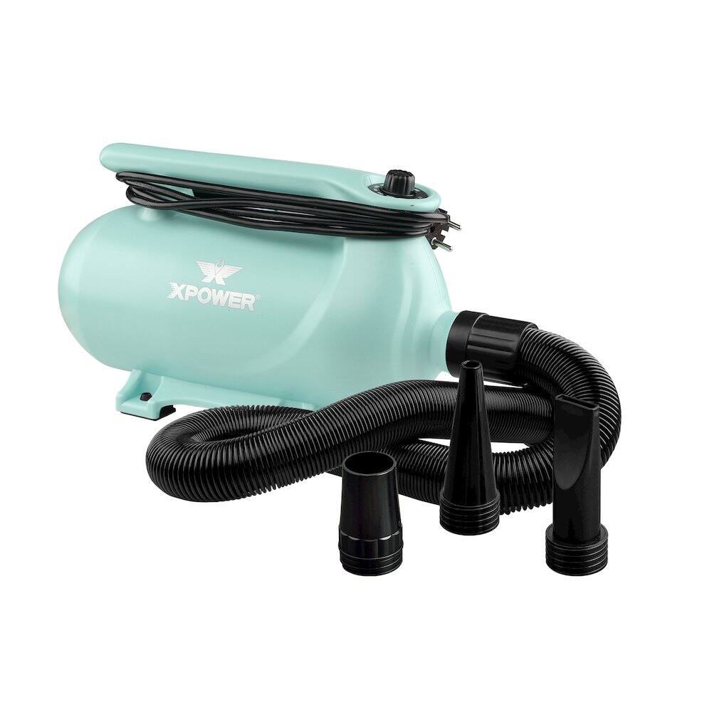 Front. XPOWER - B-163 High Velocity Variable Speed Double Motor Pet Dryer - Mint Green.