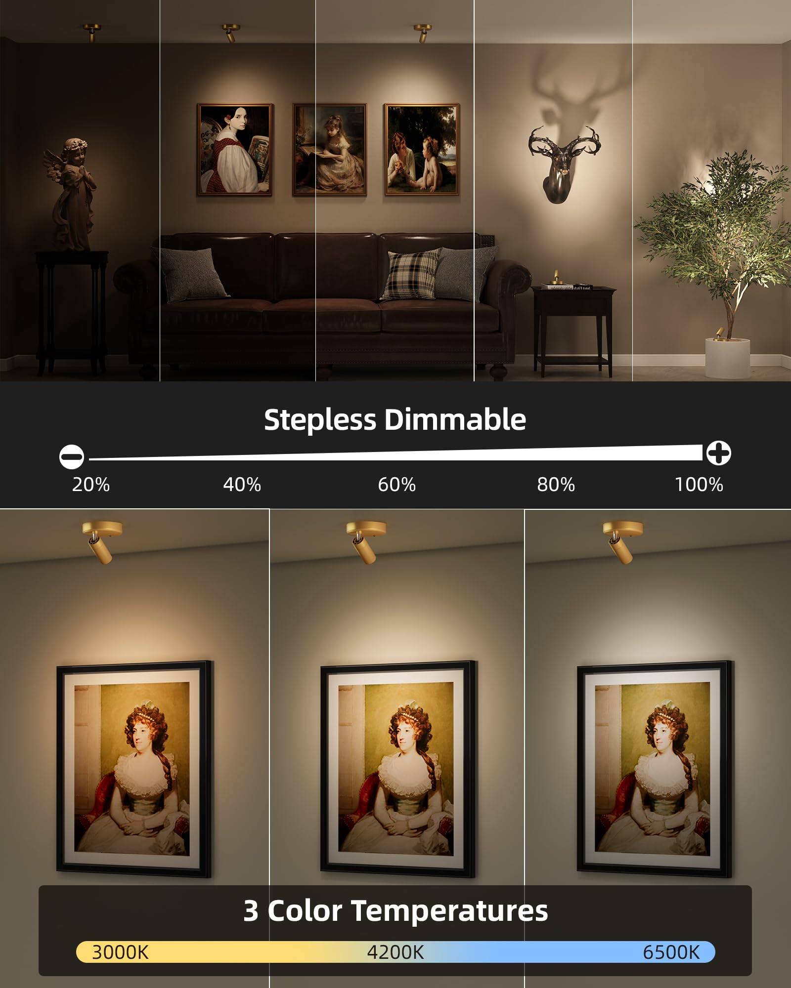- Stepless Dimmable: 20% 40% 60% 80% 100%
- 3 Color Temperatures: 3000K 4200K 6500K
