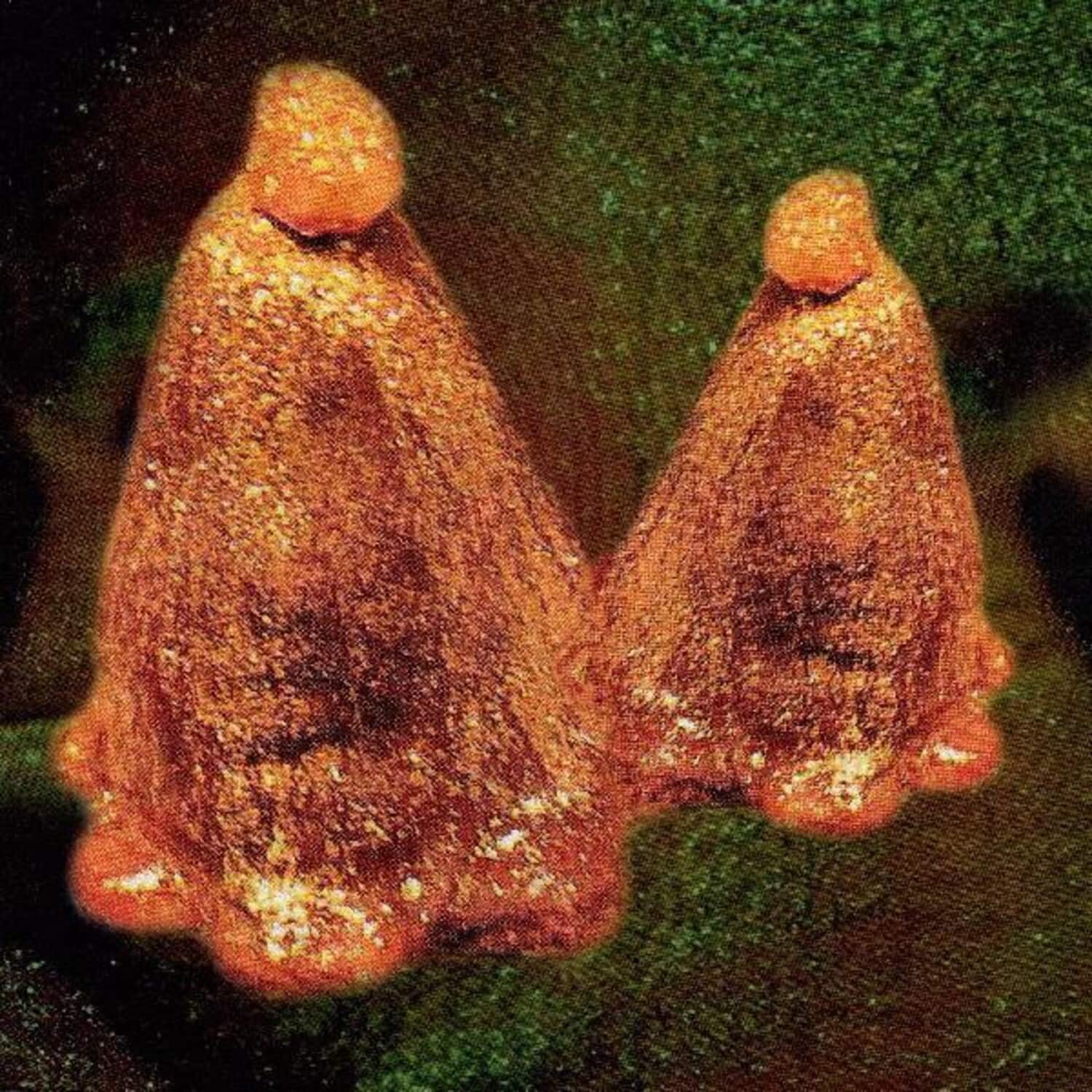 Black to Comm - Oocyte Oil & Stolen Androgens   - VINYL LP price history on PriceWatchPro
