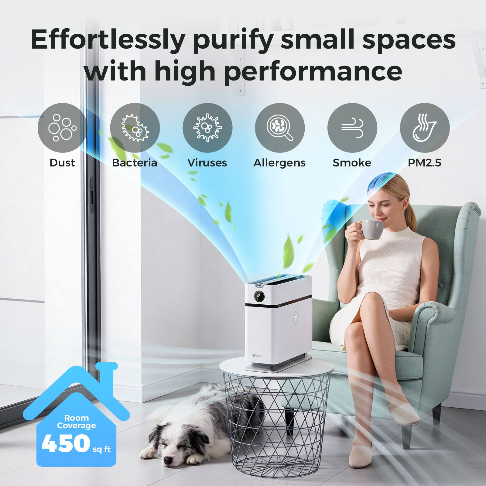 Effortlessly purify small spaces with high performance

- Dust
- Bacteria
- Viruses
- Allergens
- Smoke
- PM2.5

Room Coverage: 450 sq ft