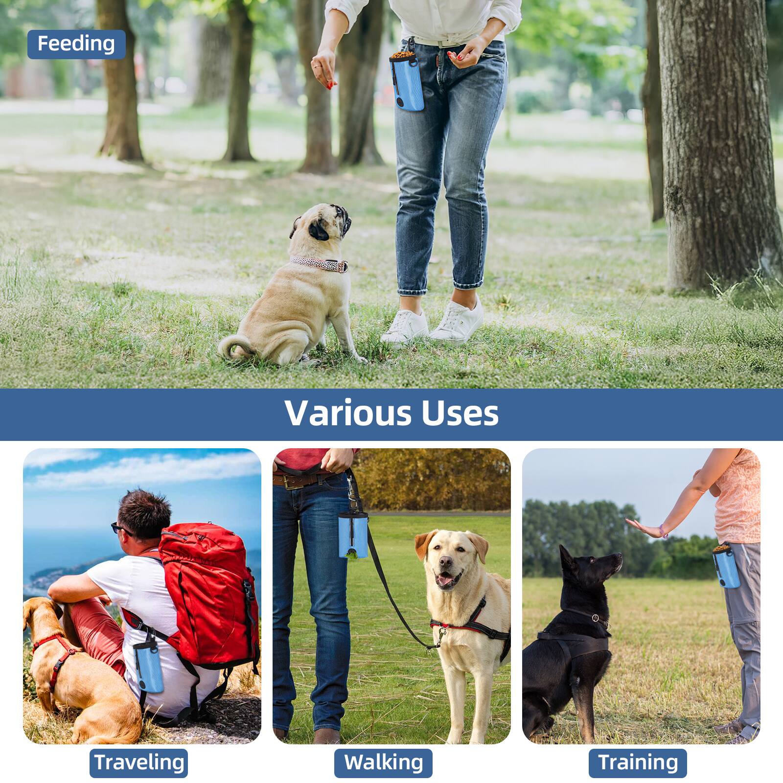 Feeding  
Various Uses  
Traveling  
Walking  
Training