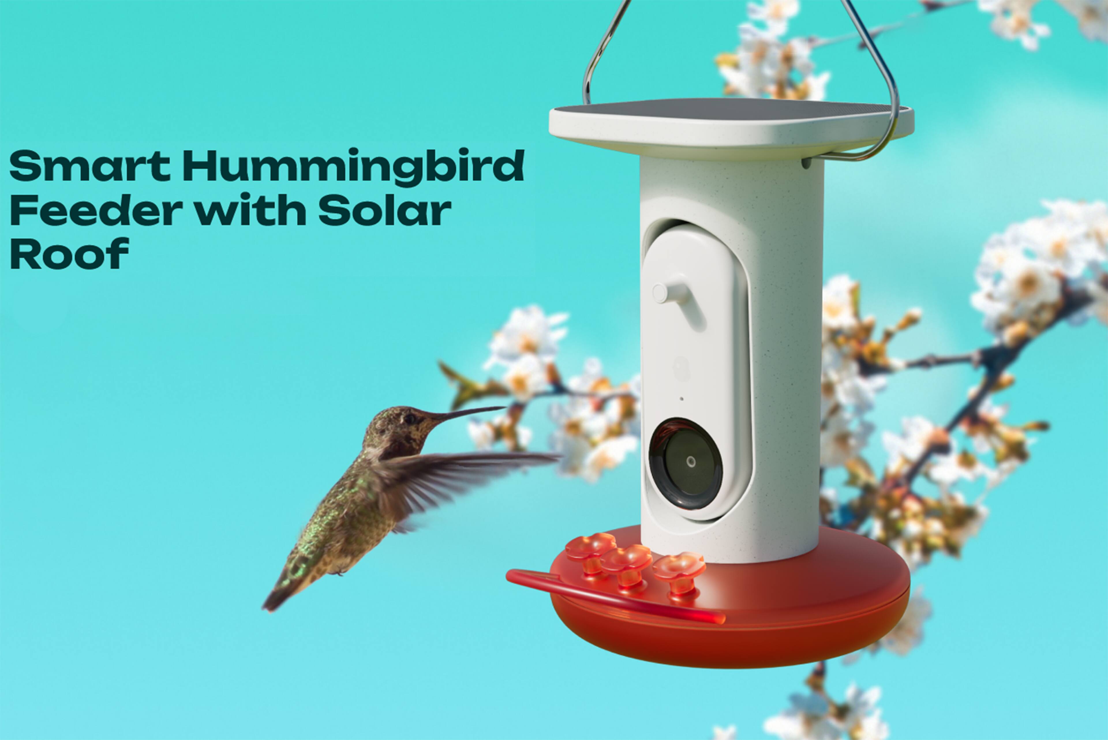 Smart Hummingbird Feeder with Solar Roof
