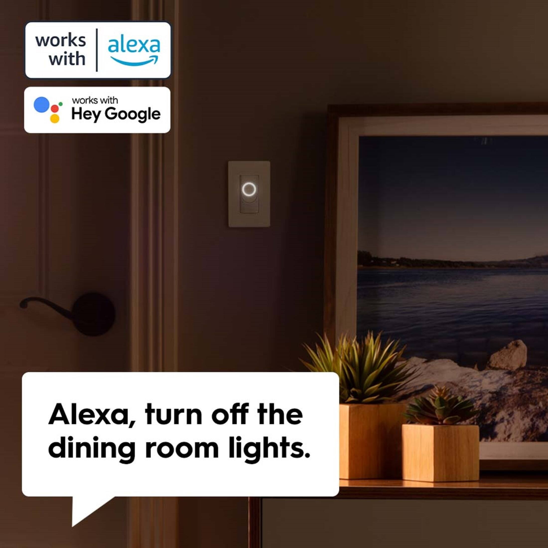 works with Alexa  
works with Hey Google  

Alexa, turn off the dining room lights.