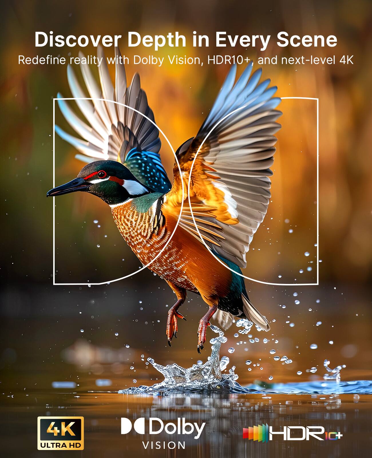 Discover Depth in Every Scene

Redefine reality with Dolby Vision, HDR10+, and next-level 4K

4K ULTRA HD

Dolby VISION

HDR10+