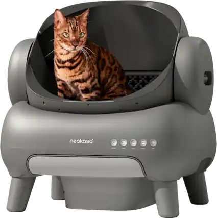 neakasa - UNEY - LEWE impty w