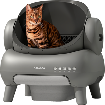 NEAKASA M1 Plus Open Top Self Cleaning Cat Litter Box Gray M1 Plus NEAKASA M1 Plus Open Top Self Cleaning Cat Litter Box Gray M1 Plus