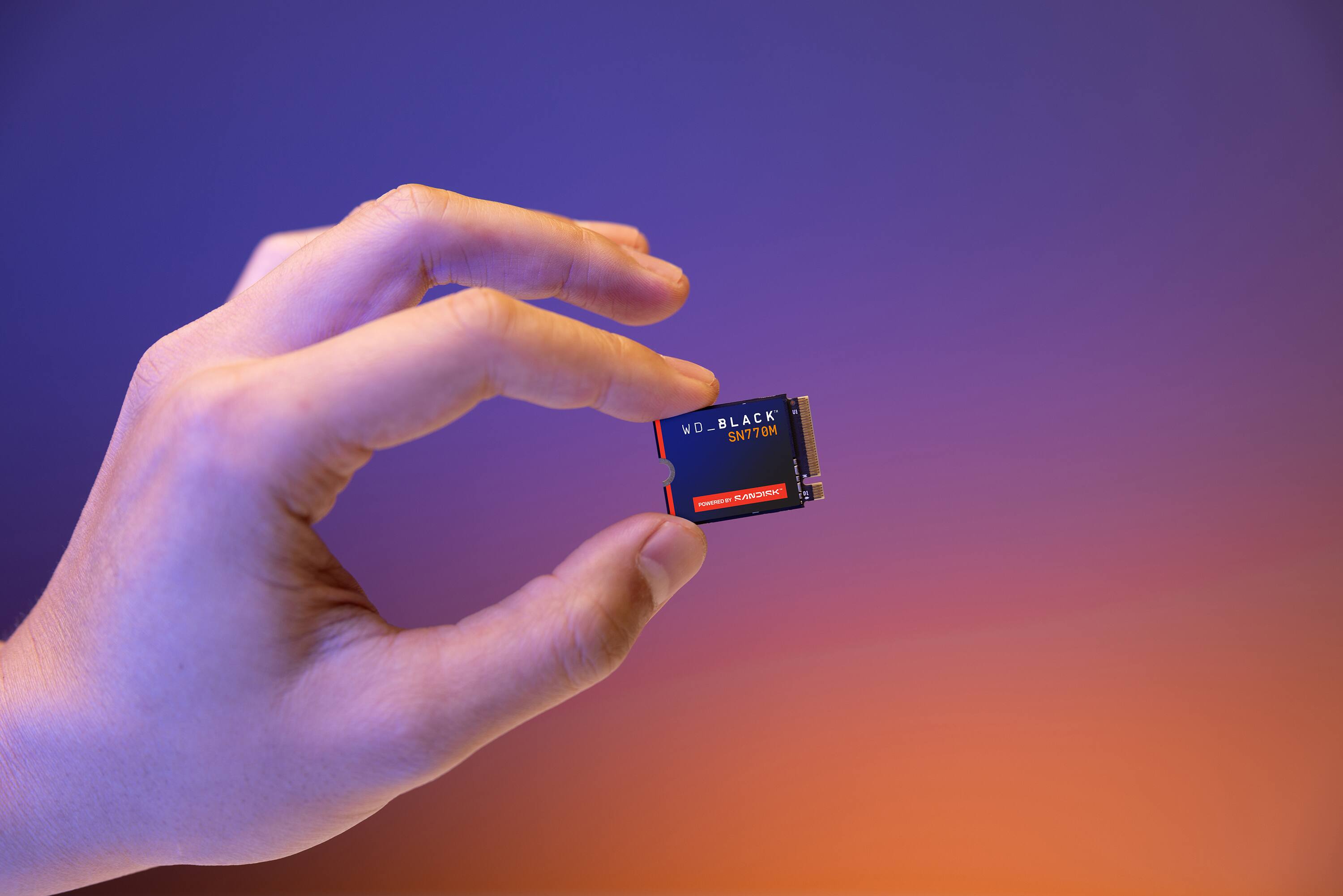 WD_BLACK SN770M - RANDK PASHUR