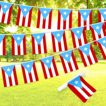 Front. G128 - Bunting Banner Puerto Rico 33 Foot - Light Blue.