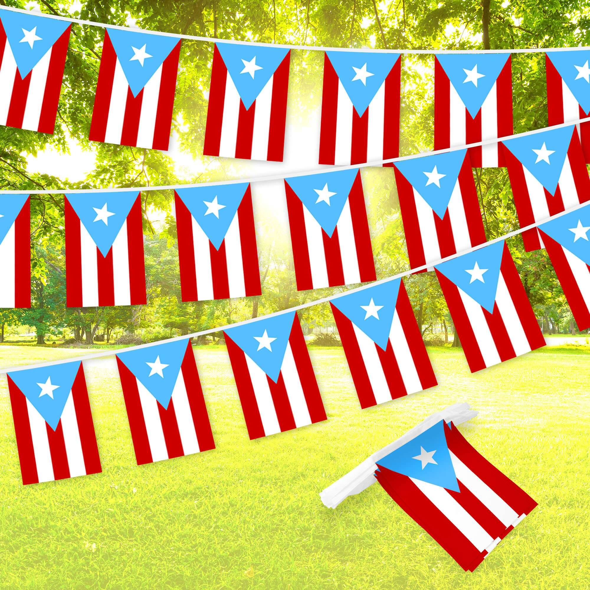 Front. G128 - Bunting Banner Puerto Rico 33 Foot - Light Blue.