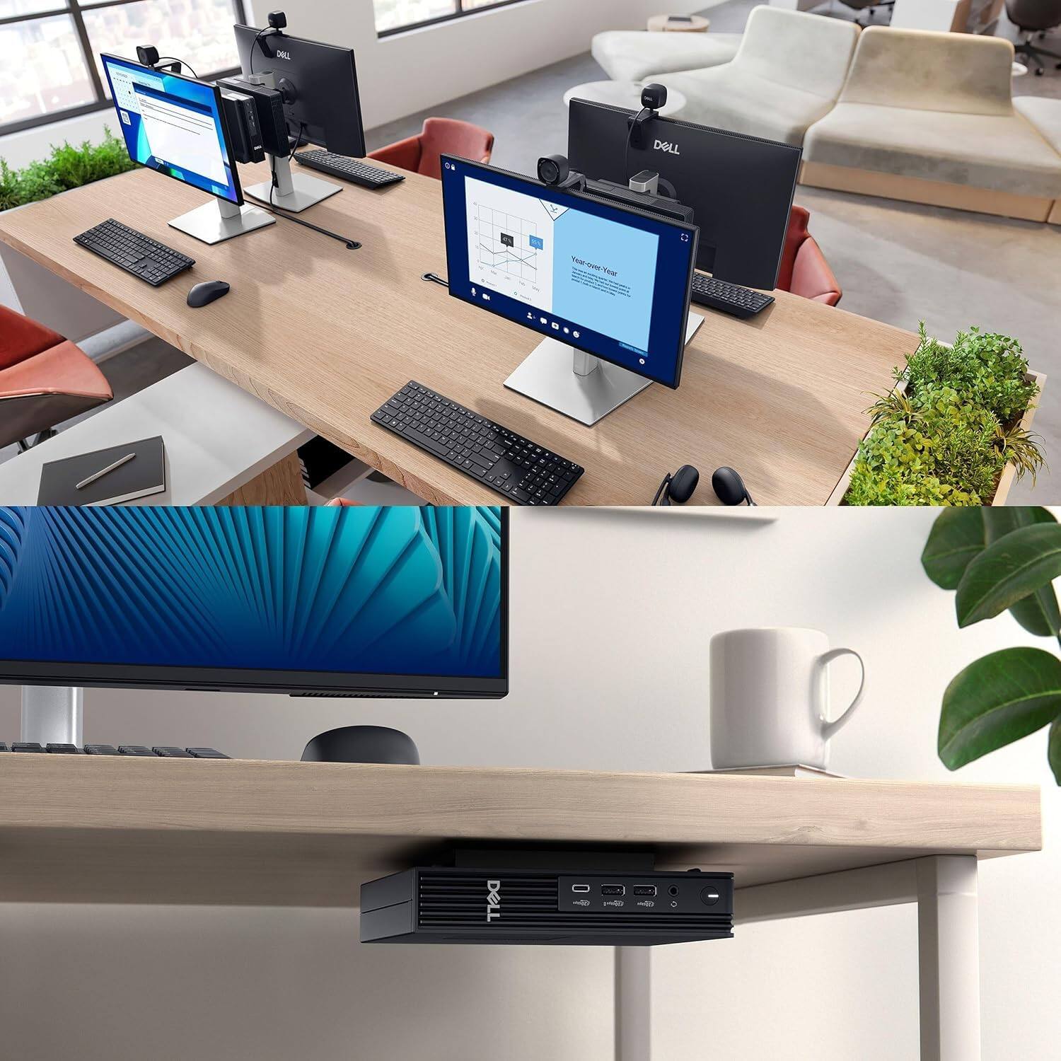 TALL DOLL Year-over-Year - Dell in Office