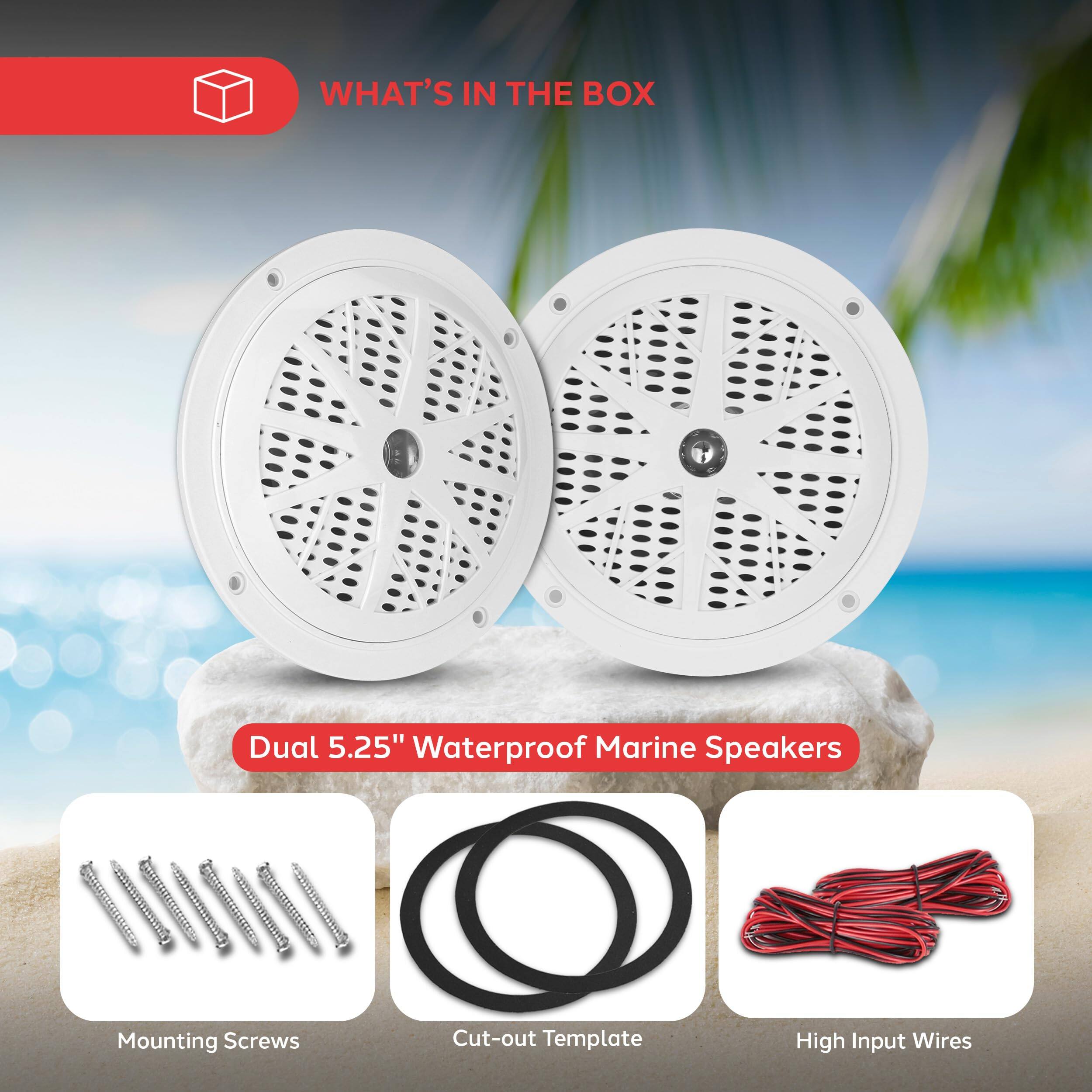 WHAT'S IN THE BOX

- Dual 5.25" Waterproof Marine Speakers
- Mounting Screws
- Cut-out Template
- High Input Wires