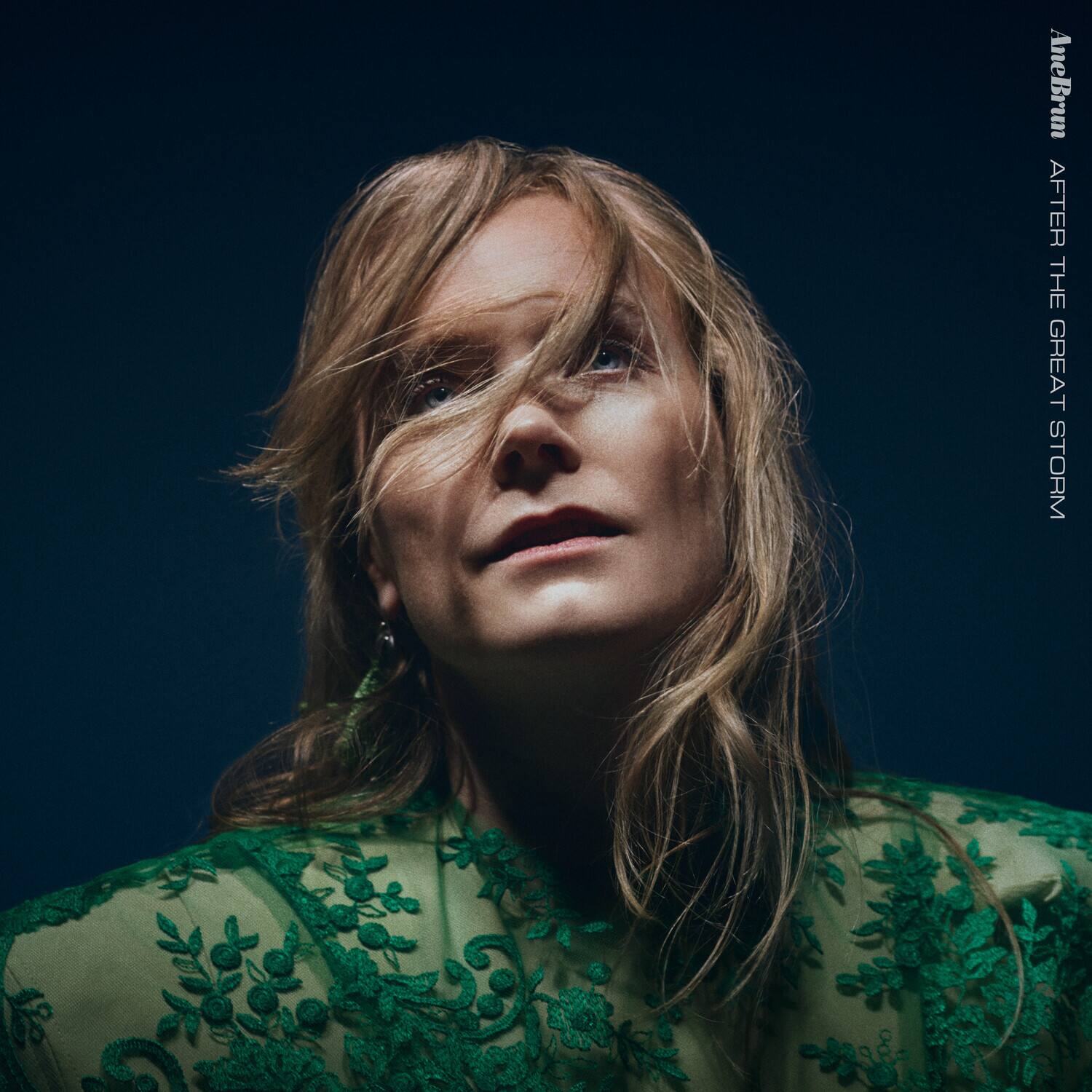 Ane Brun  
AFTER THE GREAT STORM