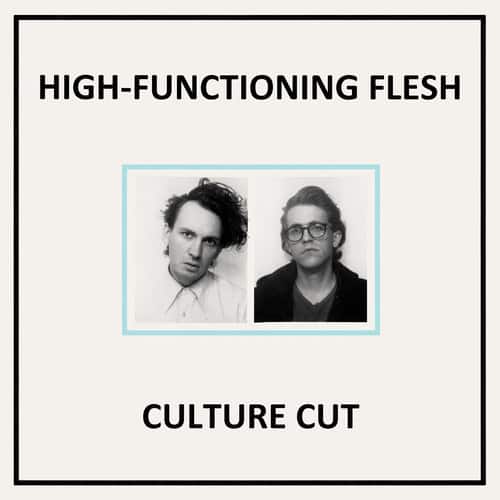 High-Functioning Flesh - Culture Cut   - COMPACT DISCS [CD] price history on PriceWatchPro