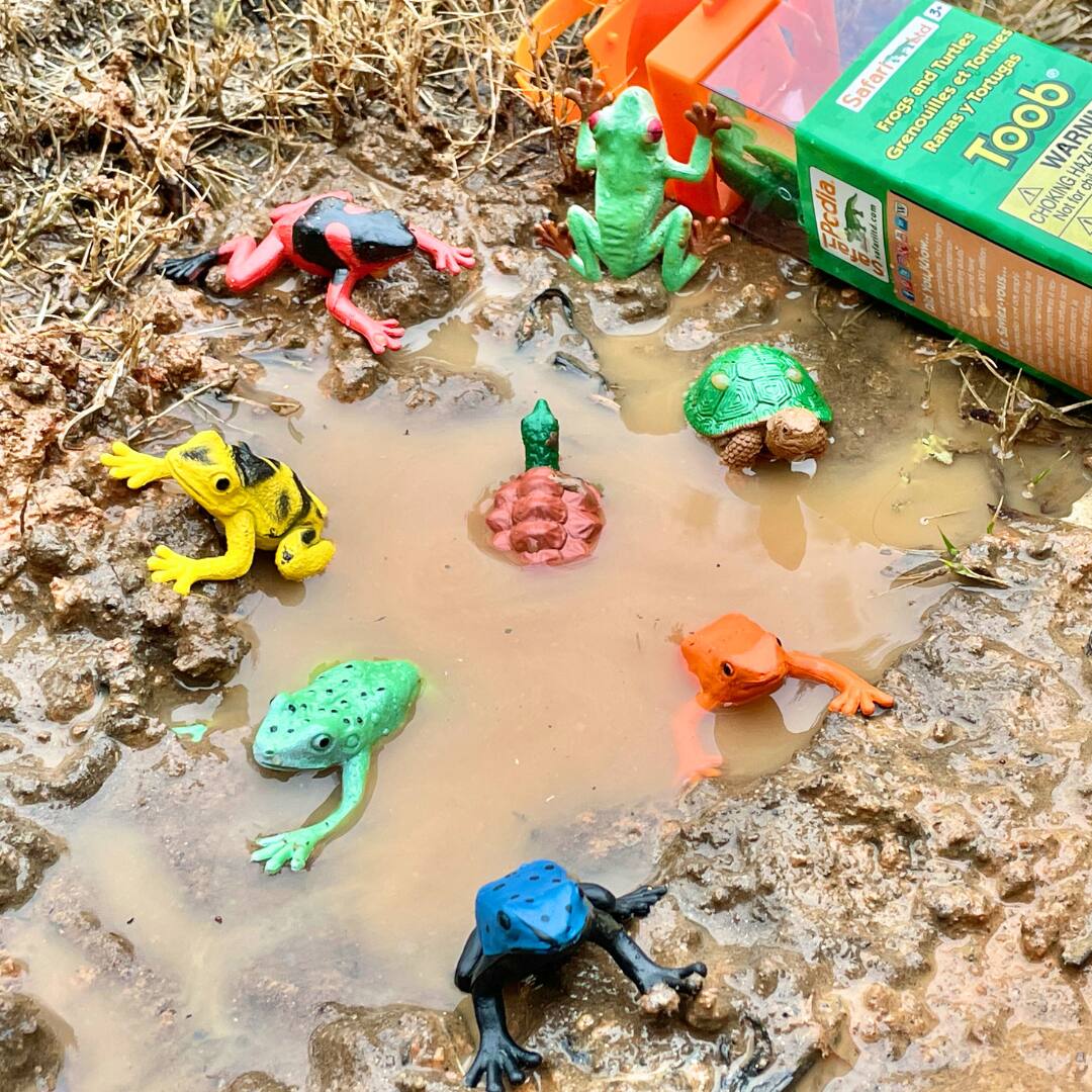 4 Safarlost Turtles Tortues and YTortugas Frogs Y Grenouilles Ranas Toob WARN HAZ 8 CHOKING for wAY a Not EPcdla g salad I m A S CAOT Yom... I FOUS.... da a Smies i