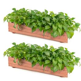 Costway - 2 PCS 36" x 7" x 6.5" Raised Garden Bed Fir Wood Planter Box for Vegetable Fruits - Brown