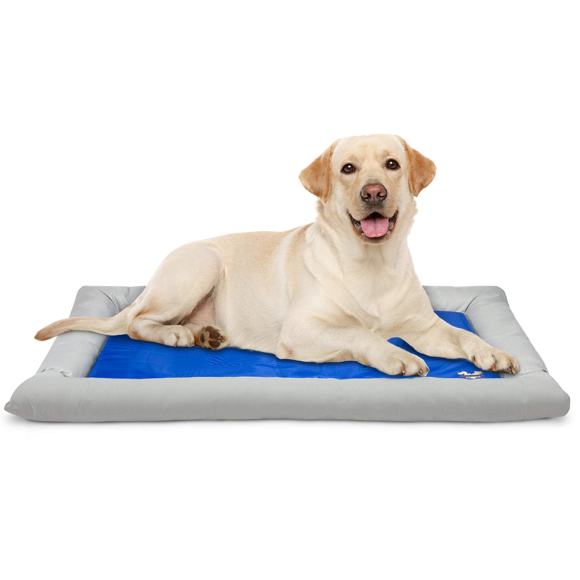 Arf Pets - Self Dog Cooling Mat, Solid Gel Based Pet Cooling Mat with Foam Based Bolster Bed - 26"x40" - Blue