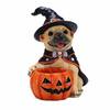 Front. RYHNUYNE - Halloween French Bulldog Witch Figurine with Pumpkin Candy Bowl Decoration, Cute Puppy Resin Statue for Tabletop - Beige.