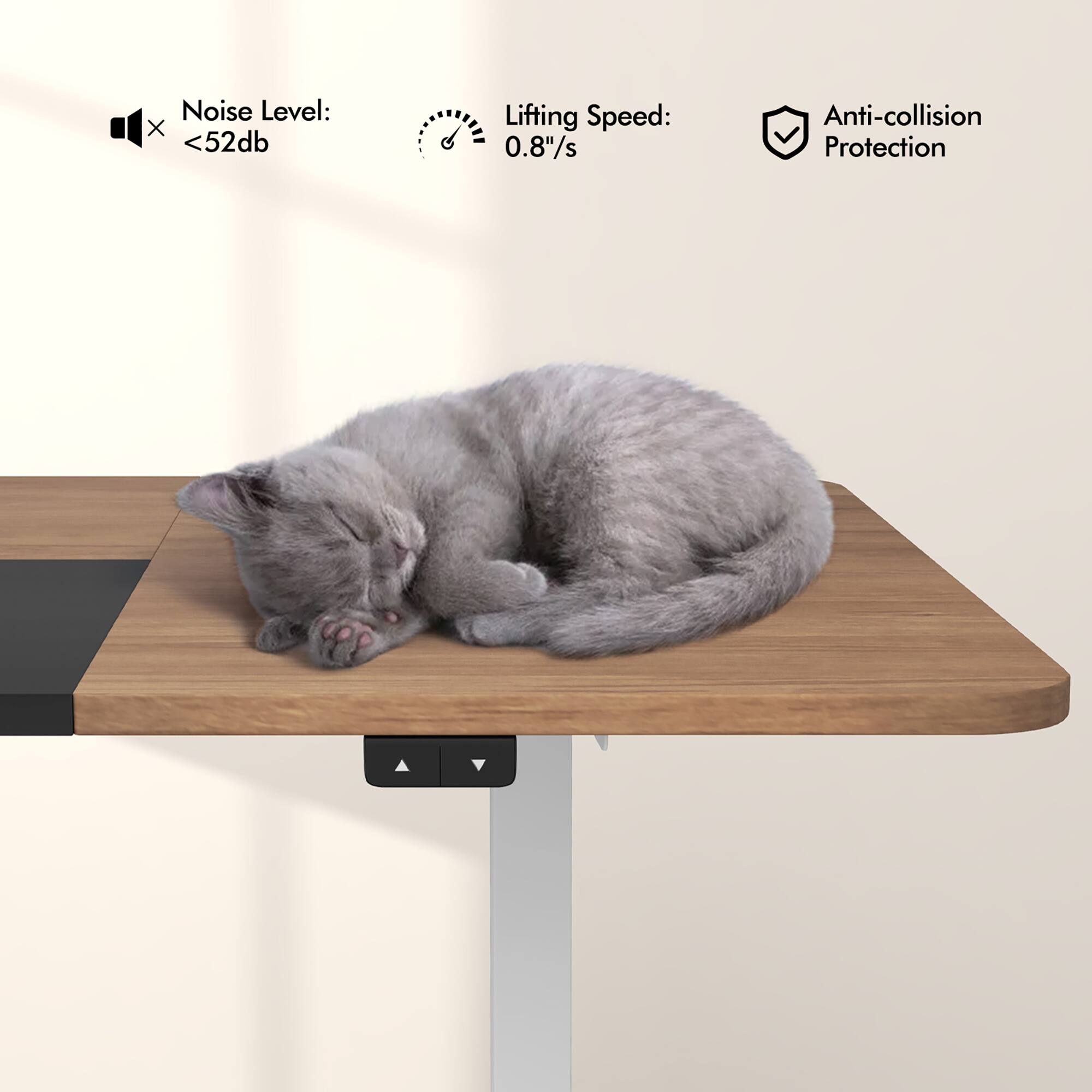 Noise Level: <52db
Lifting Speed: 0.8"/s
Anti-collision Protection