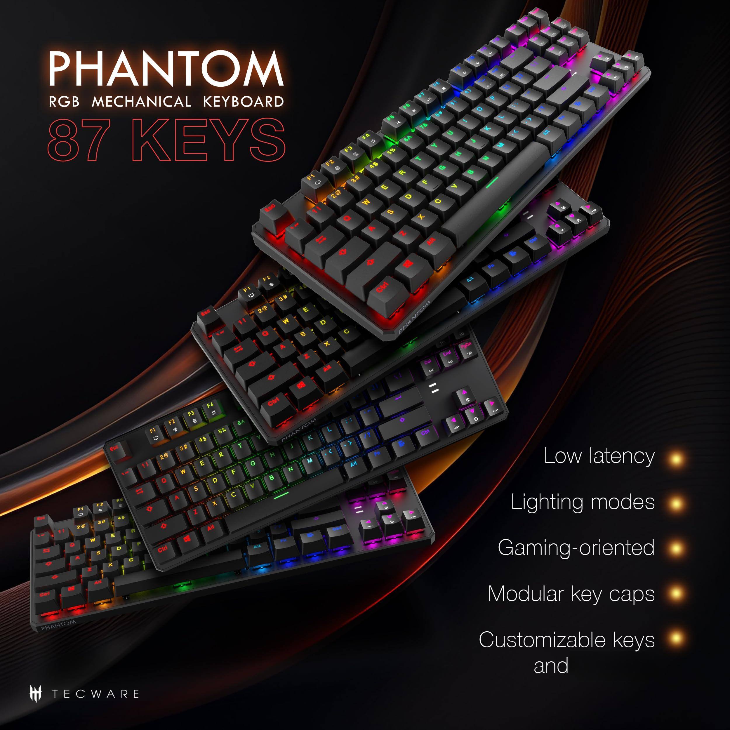 PHANTOM RGB MECHANICAL KEYBOARD  
87 KEYS  

Low latency  
Lighting modes  
Gaming-oriented  
Modular key caps  
Customizable keys  

TECWARE