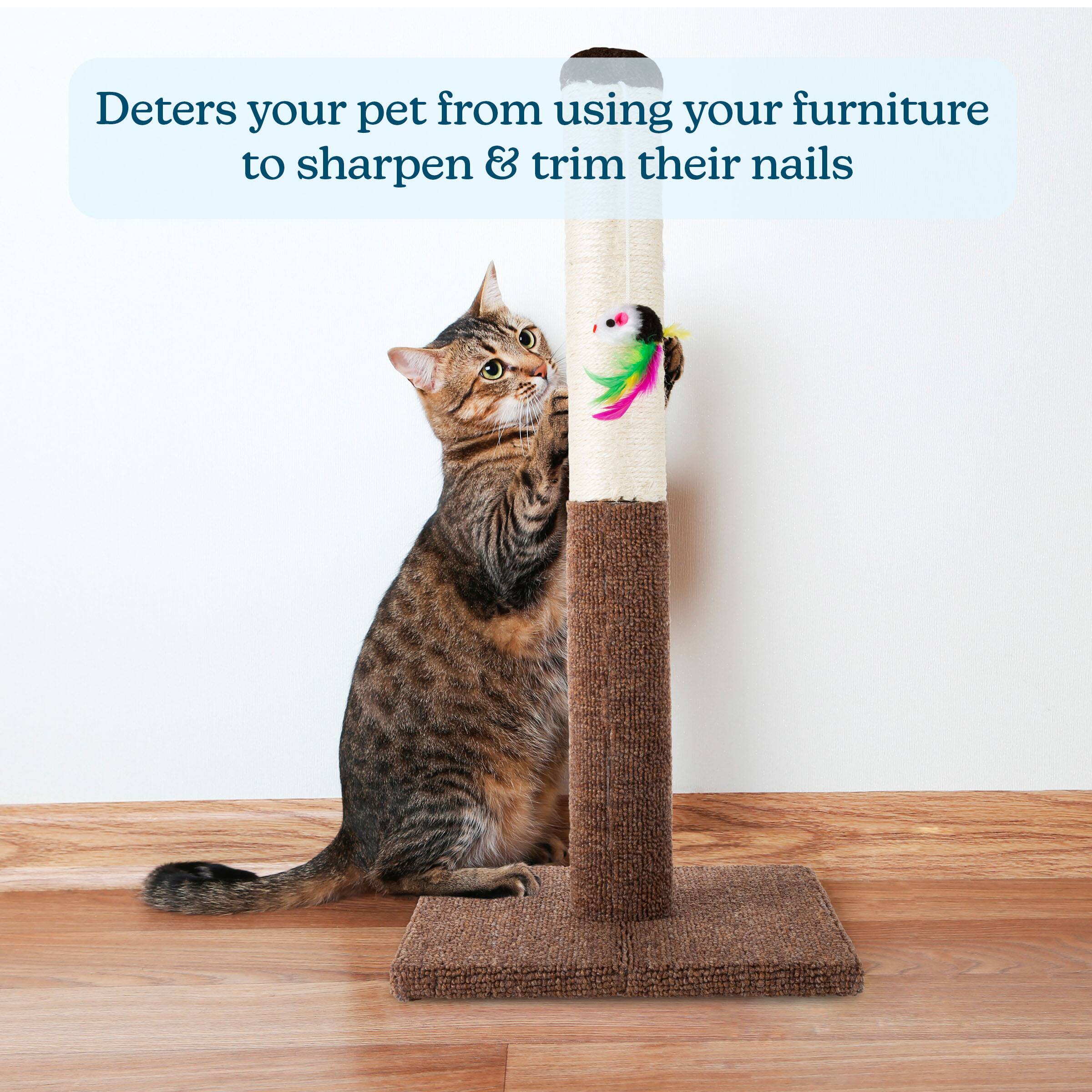 Deters your pet from using your furniture to sharpen & trim their nails