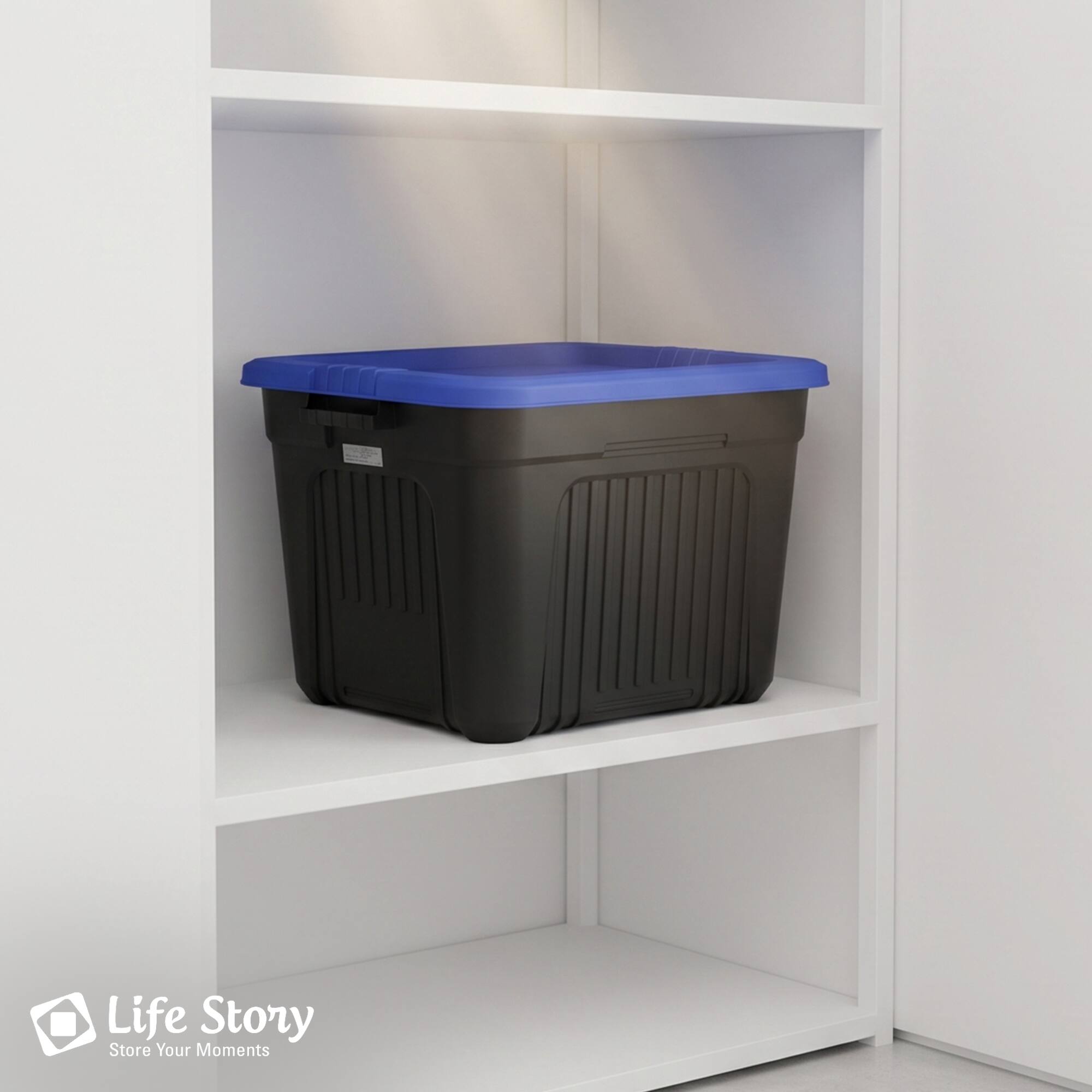 Life Story  
Store Your Moments