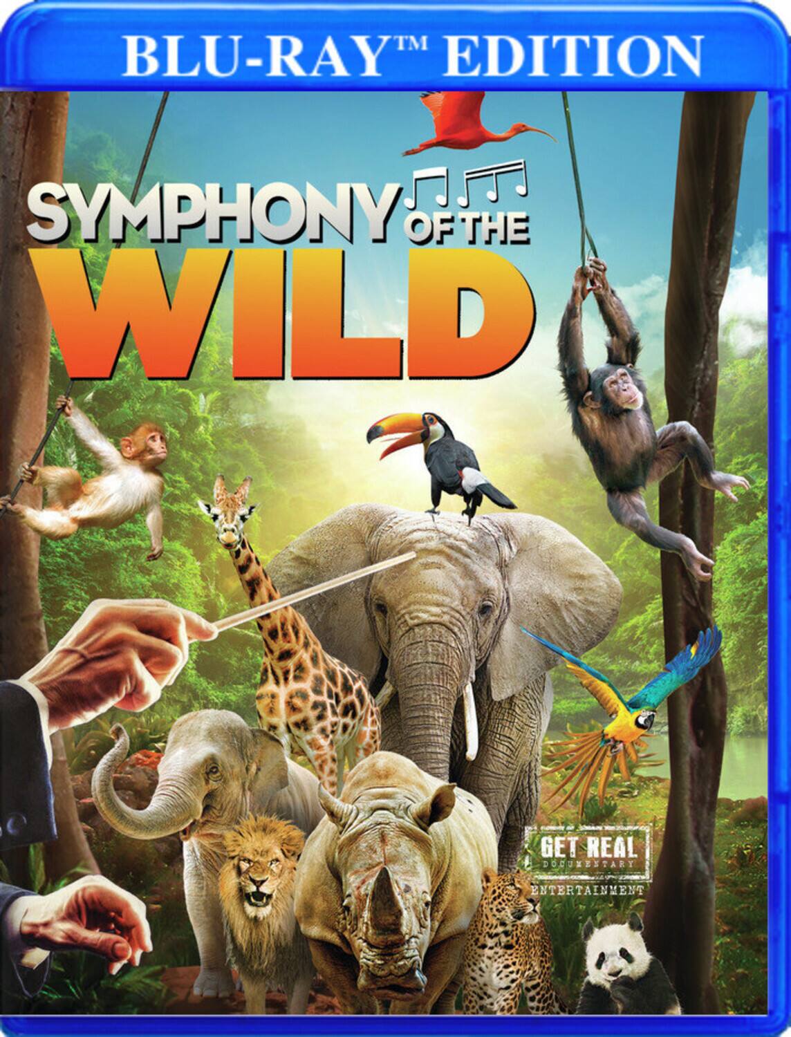 Front. Symphony Of The Wild   - BLU-RAY.